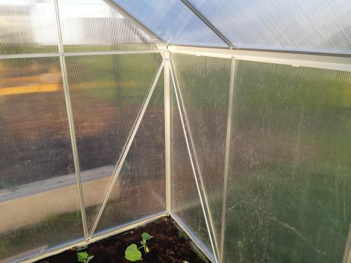 szklarnia VITAVIA TARGET 6200 PC 4 mm srebrna