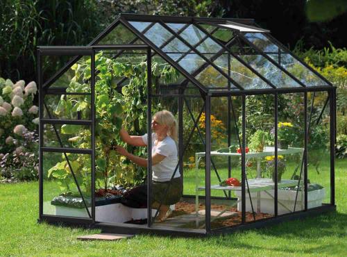 szklarnia VITAVIA VENUS 5000 szkło 3 mm czarna